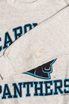 Carolina Panthers Sweatshirt 9107