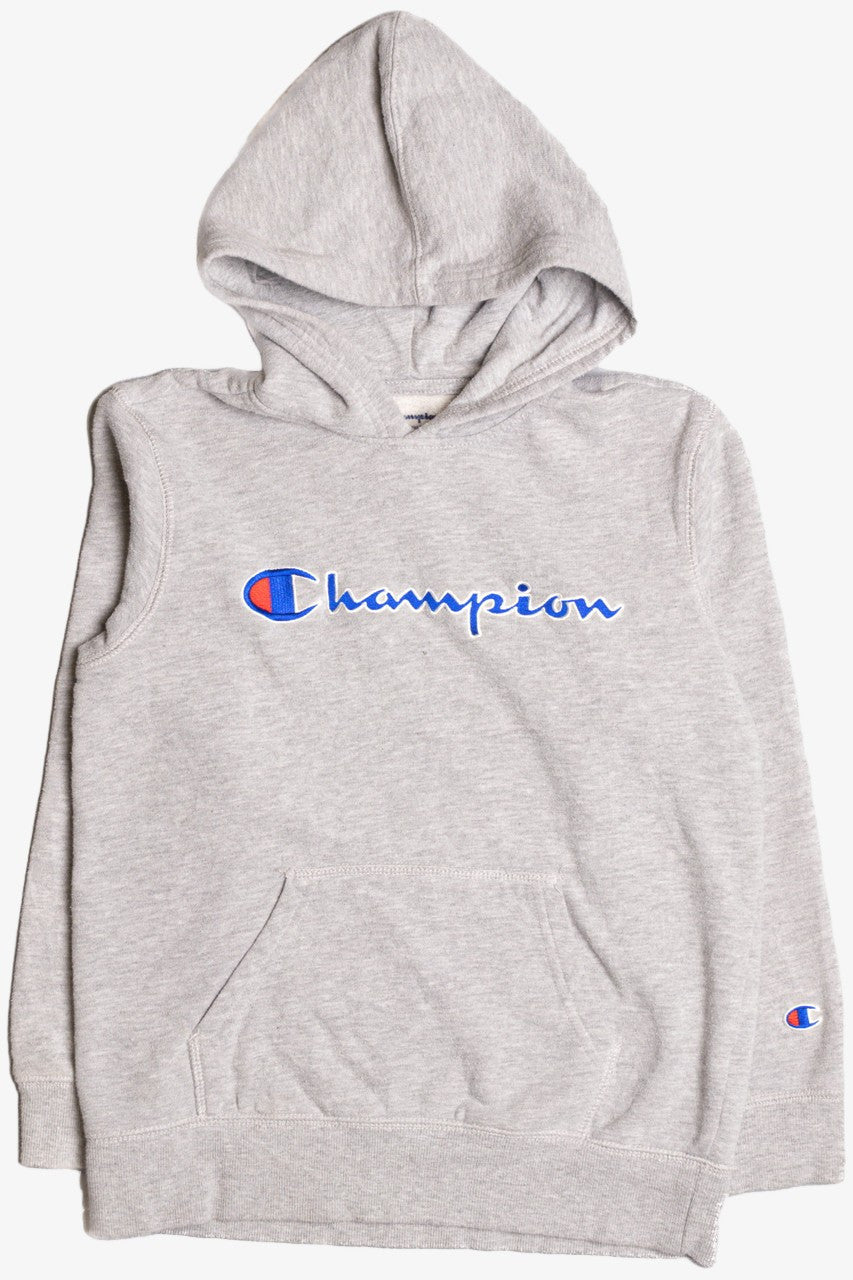 Gray Champion Hoodie 9198