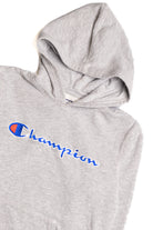 Gray Champion Hoodie 9198
