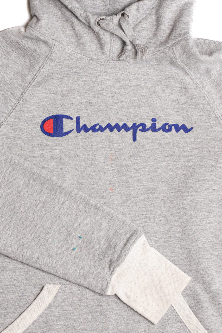 Gray Champion Hoodie 9229