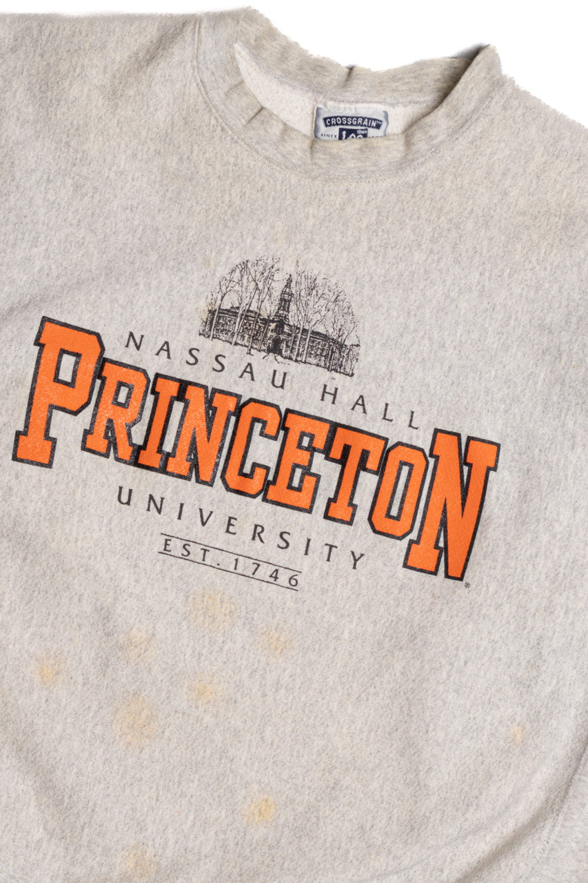 Princeton University Sweatshirt 9273