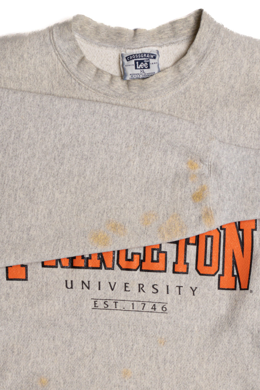 Princeton University Sweatshirt 9273