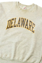 Vintage Delaware Sweatshirt (1990s) 9546