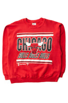 Vintage Team Hanes Chicago Bulls Sweatshirt (1990s)