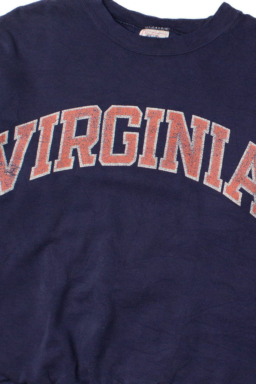 Vintage Delta Virginia Sweatshirt (1990s)