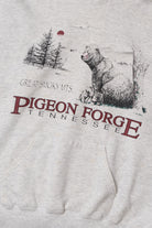 Vintage "Pigeon Forge Tennessee" Great Smokey Mountains Bear Sweatshirt