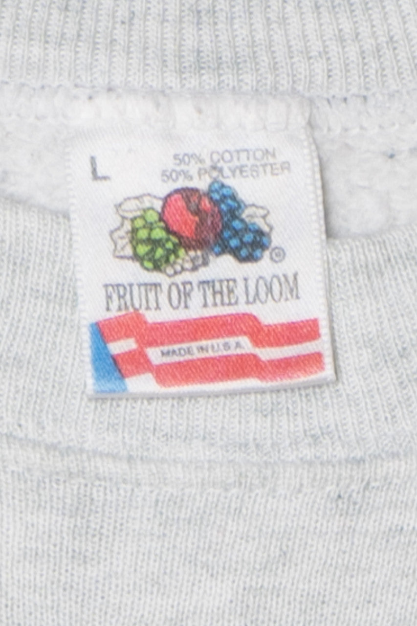 Vintage 1991 "University of Illinois" Sweatshirt