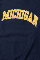 University of Michigan Steve & Barry's Sweatshirt
