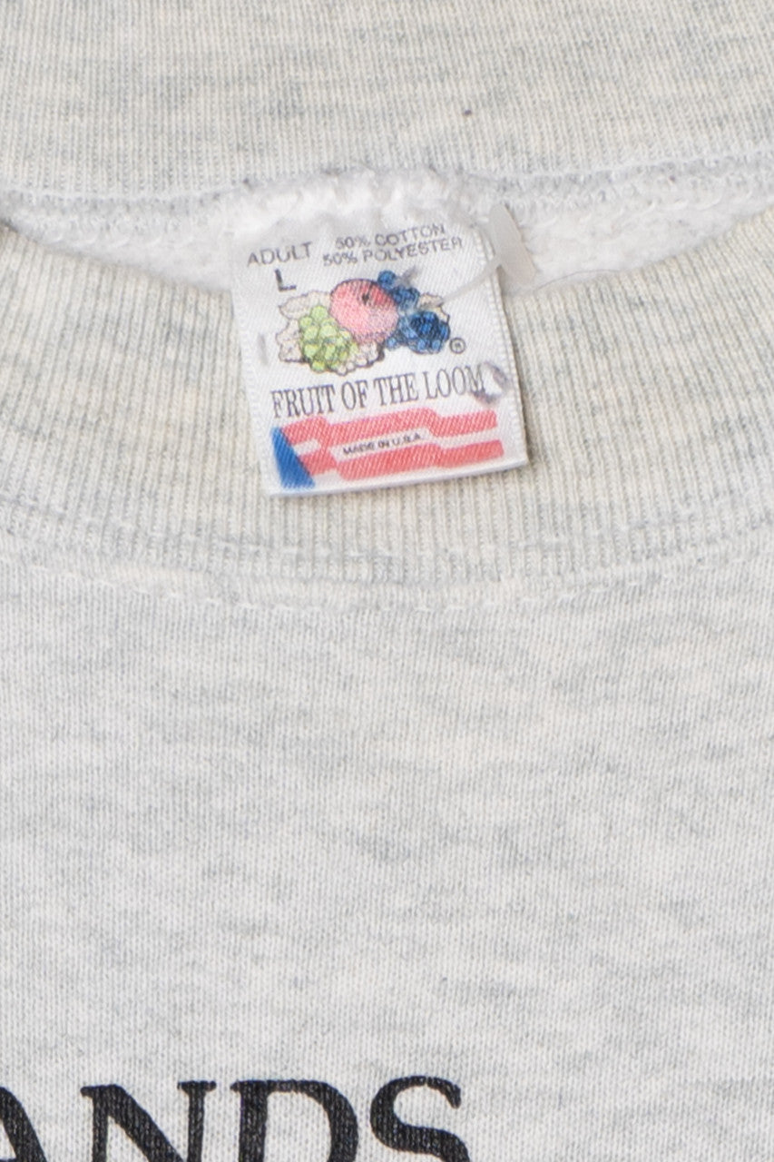 Vintage 1990 "Wetlands" Geese Sweatshirt