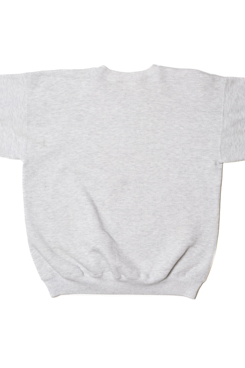 Vintage Eagle Scenic Print Sweatshirt