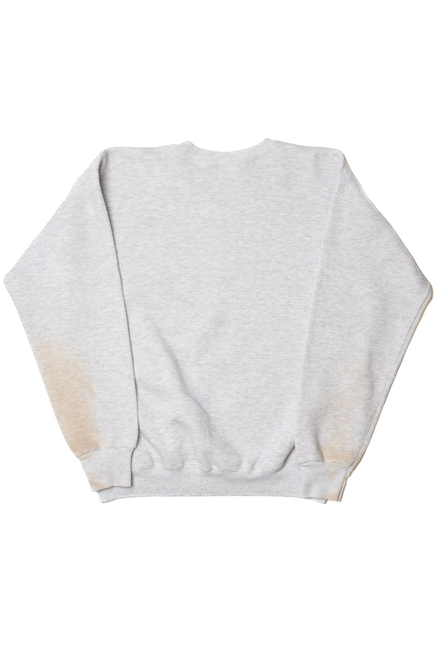 Vintage Eagle Scenic Print Sweatshirt