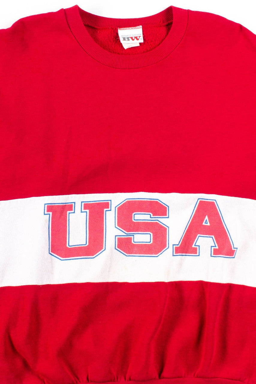 Color Blocked USA Sweatshirt