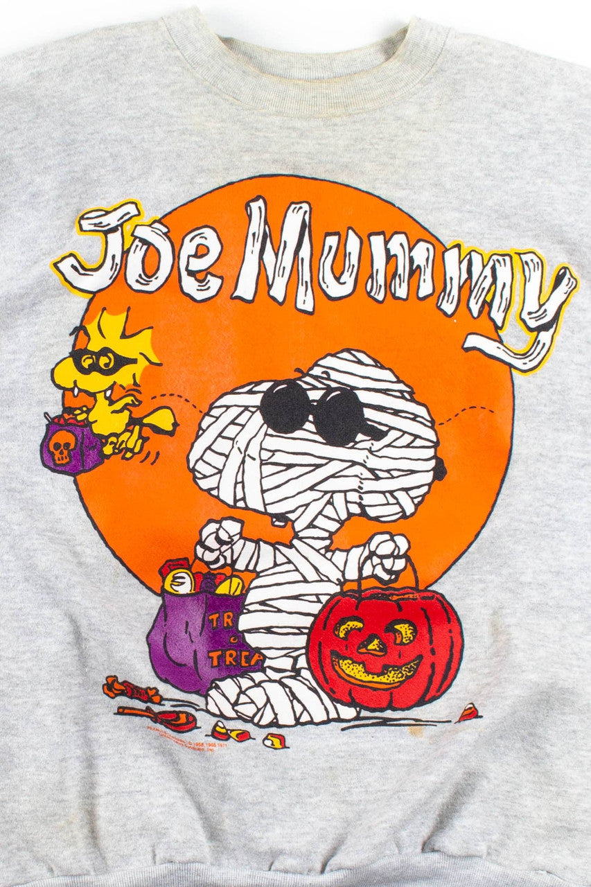 Joe Mummy Peanuts Sweatshirt