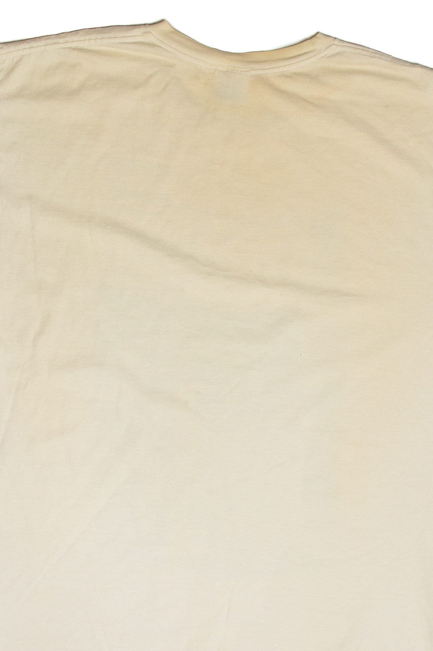 Vintage Dale Jr. Pepsi 400 Newspaper T-Shirt (2001)