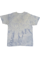 Dolphin Tie Dye The Mountain T-Shirt