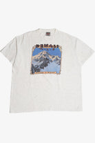 Vintage Denali Ale "Brewed In Alaska" Denali Mountain Single Stitch T-Shirt