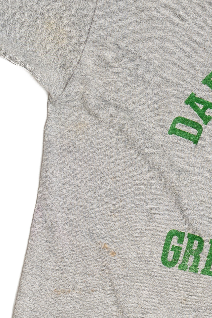 Vintage "Darke County Family" Ohio YMCA Ringer T-Shirt (1980s)