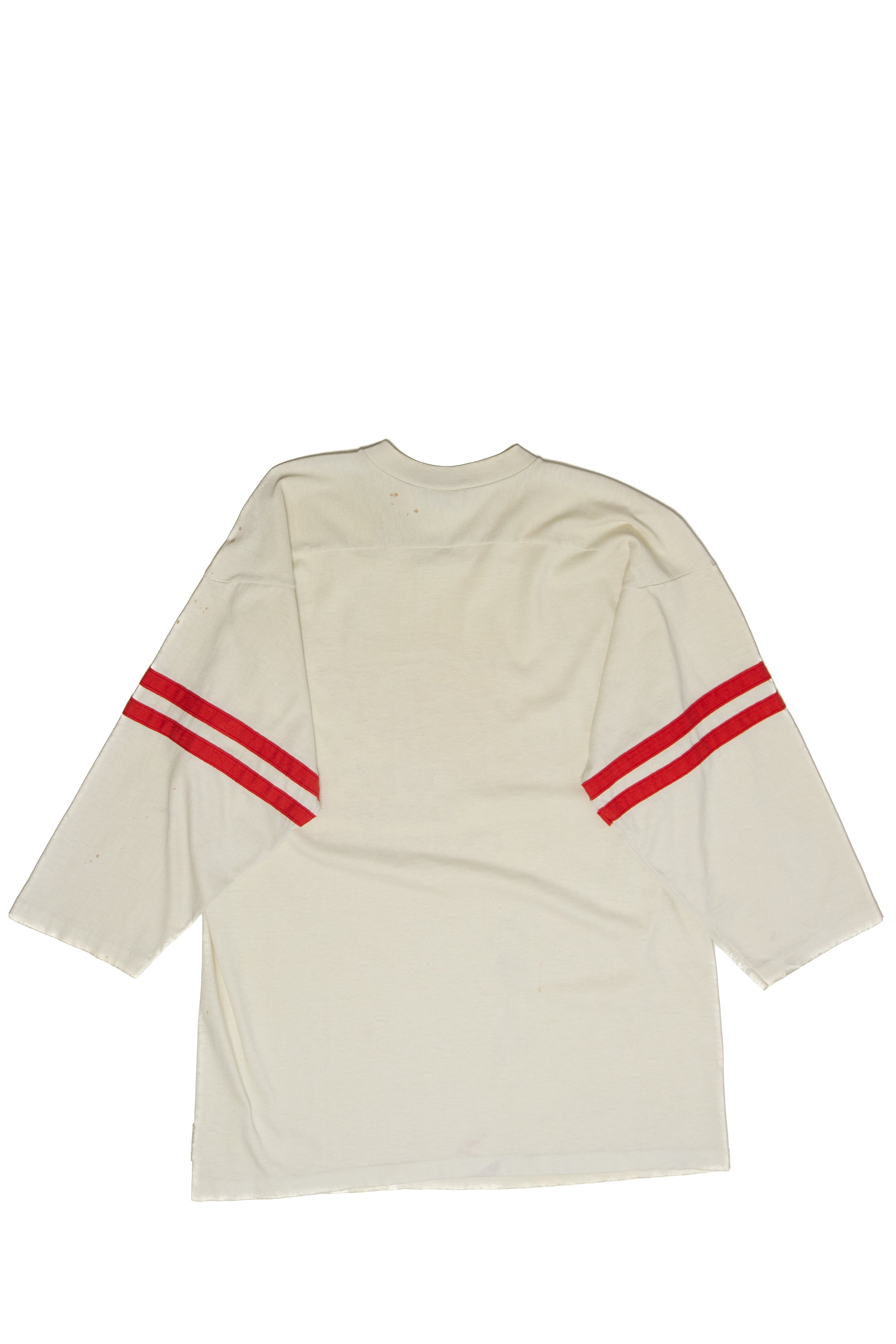 Vintage Detroit Red Wings Division Champions T-Shirt (1980s)