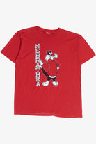 Vintage Nebraska "Nebrathka" Sylvester Looney Tunes Artex T-Shirt (1990s)