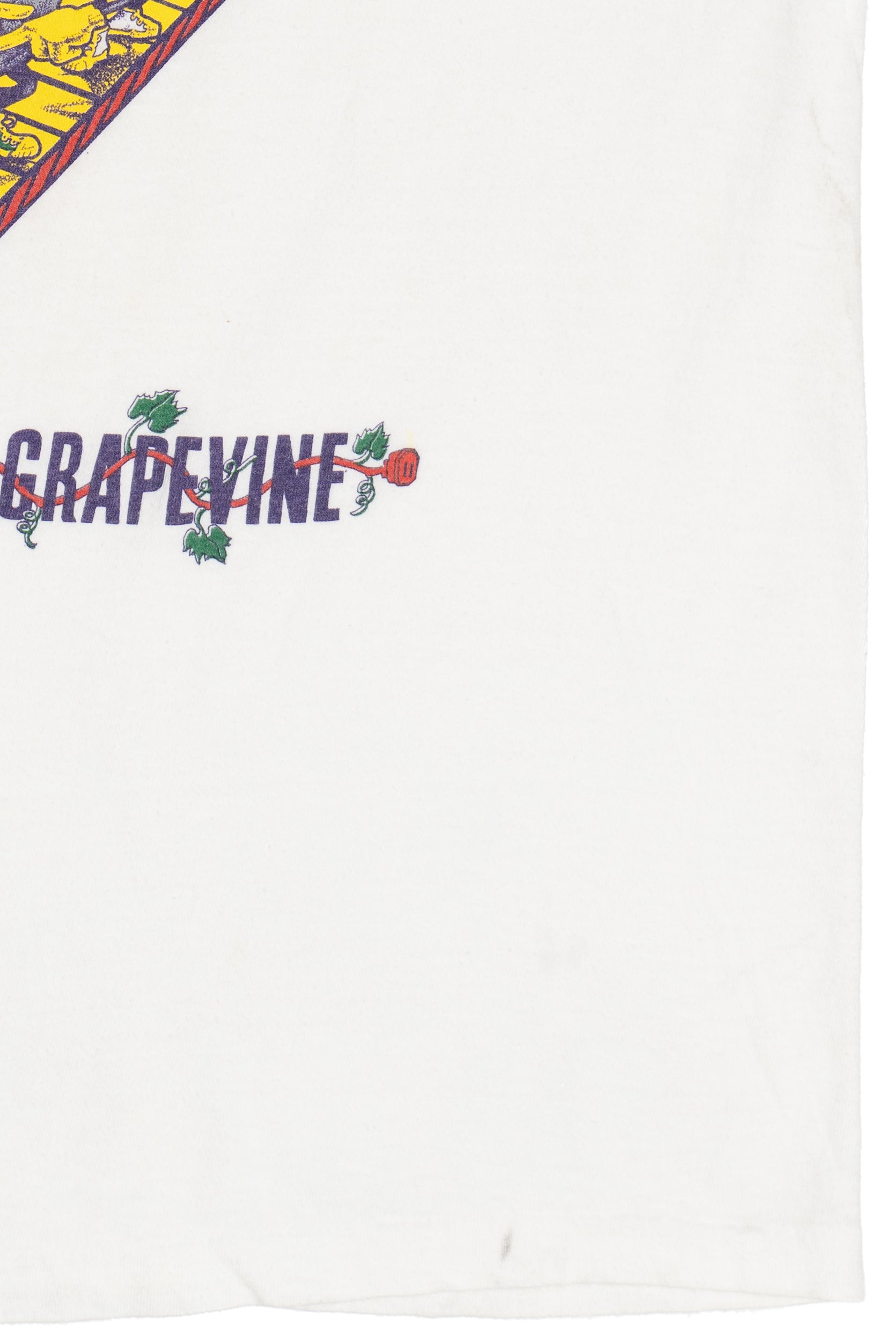Vintage Michigan "Heard It Through The Grapevine" Raisins T-Shirt (1990s)