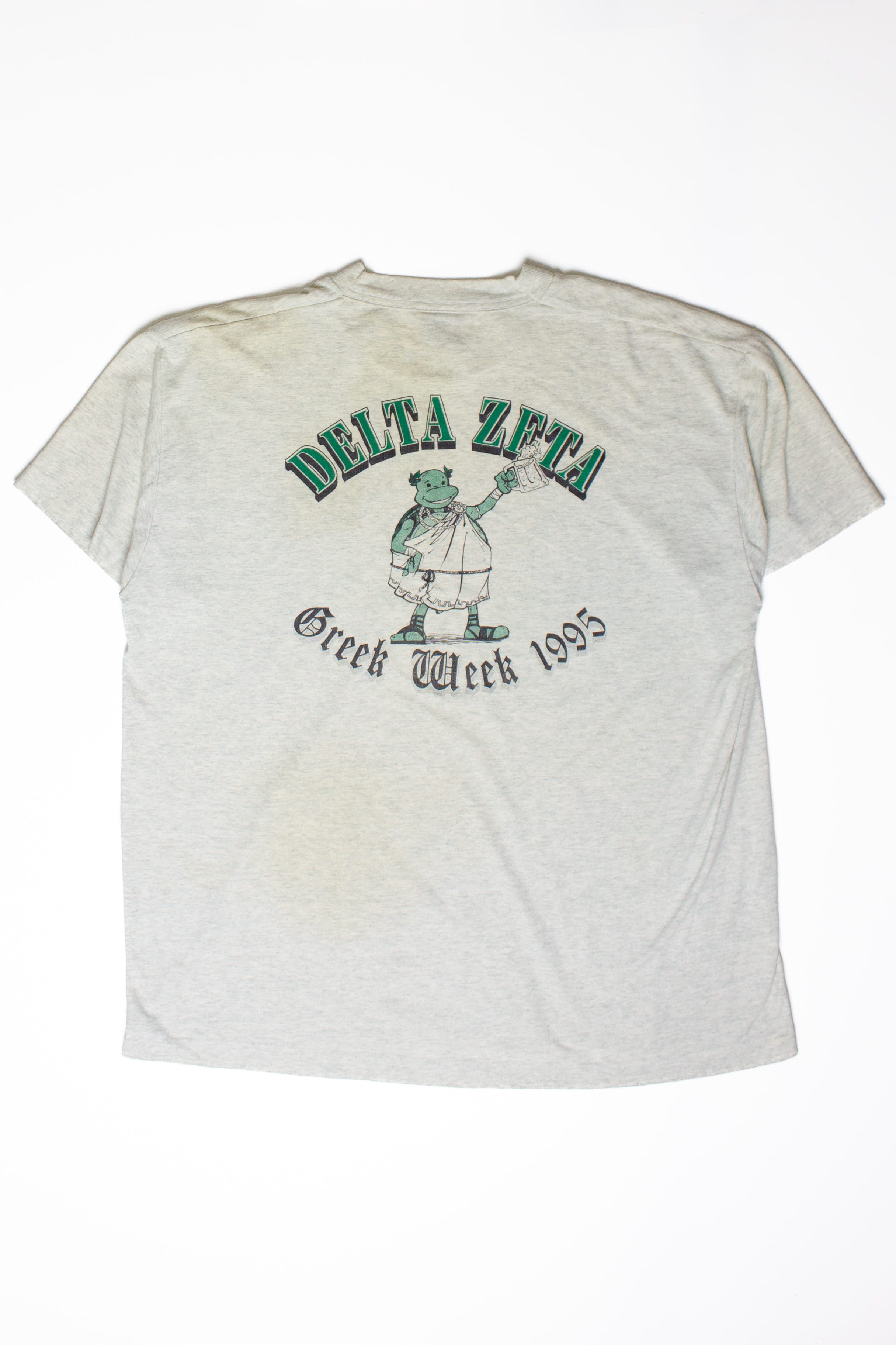 Vintage Delta Zeta Greek Week T-Shirt (1995)