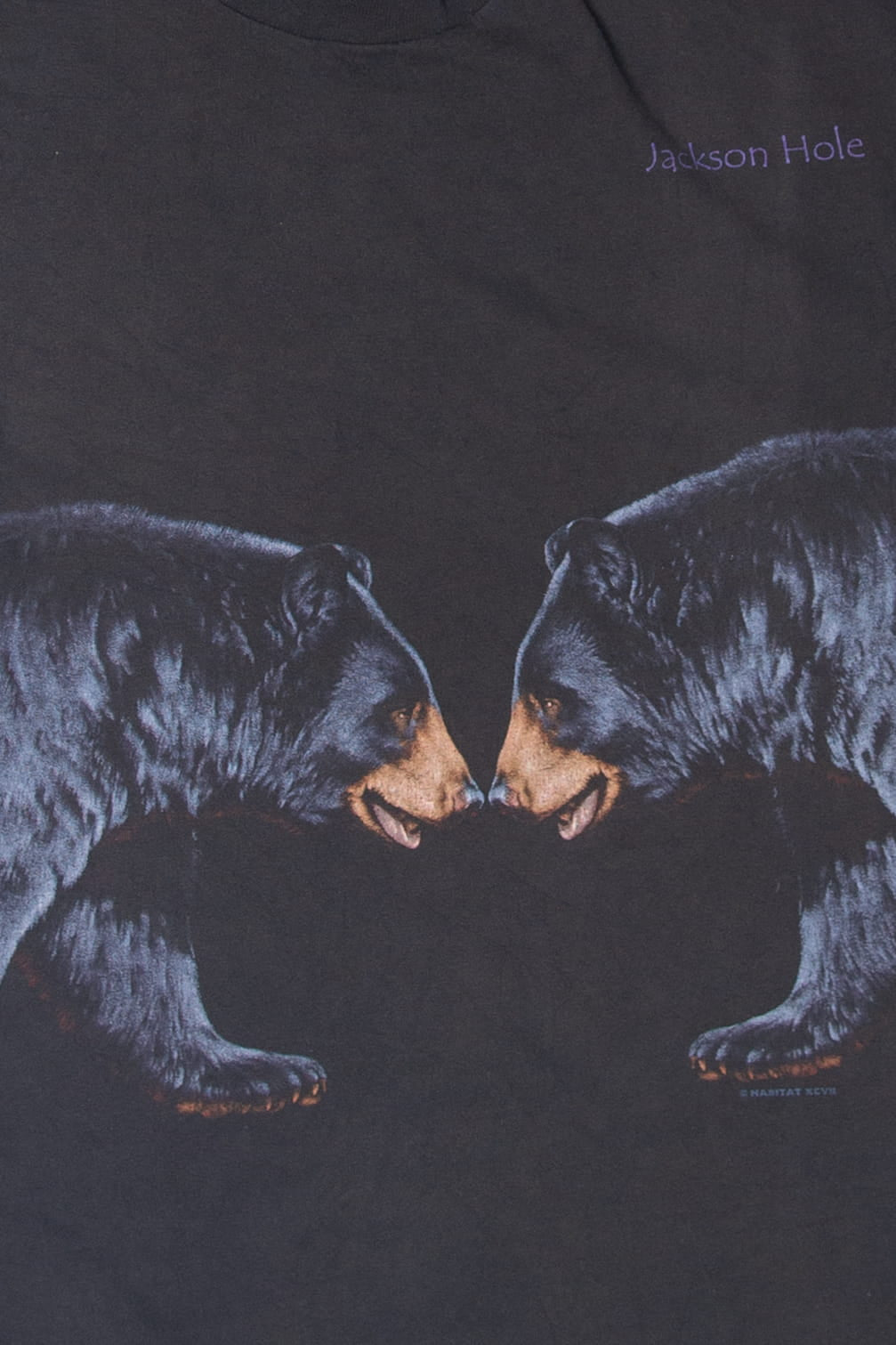 Vintage Jackson Hole Bears T-Shirt (1990s)