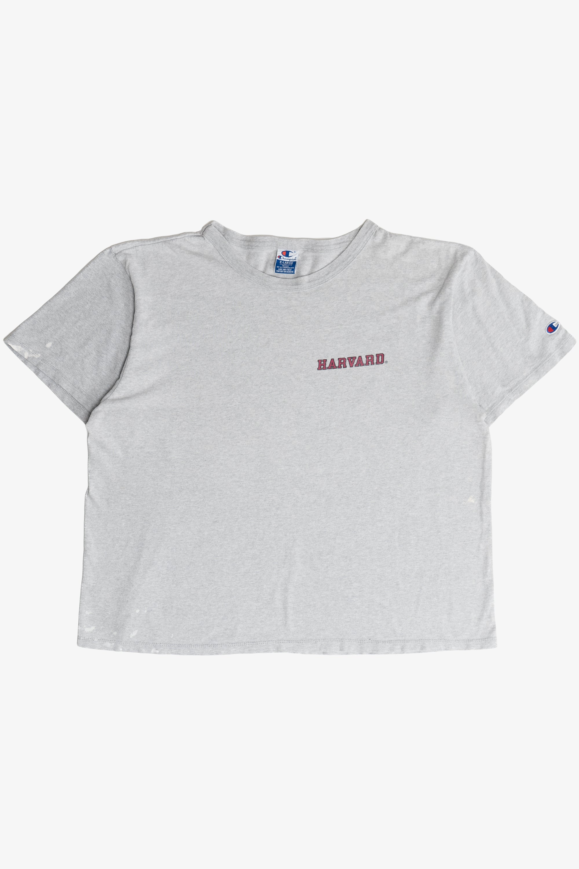 Vintage Harvard University Champion T-Shirt (1990s)