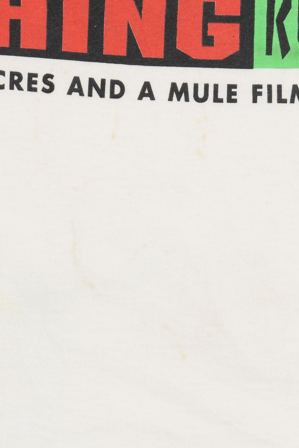Vintage RARE Spike Lee & More SIGNED "40 Acres And A Mule Filmworks" Production Company T-Shirt (1990s)