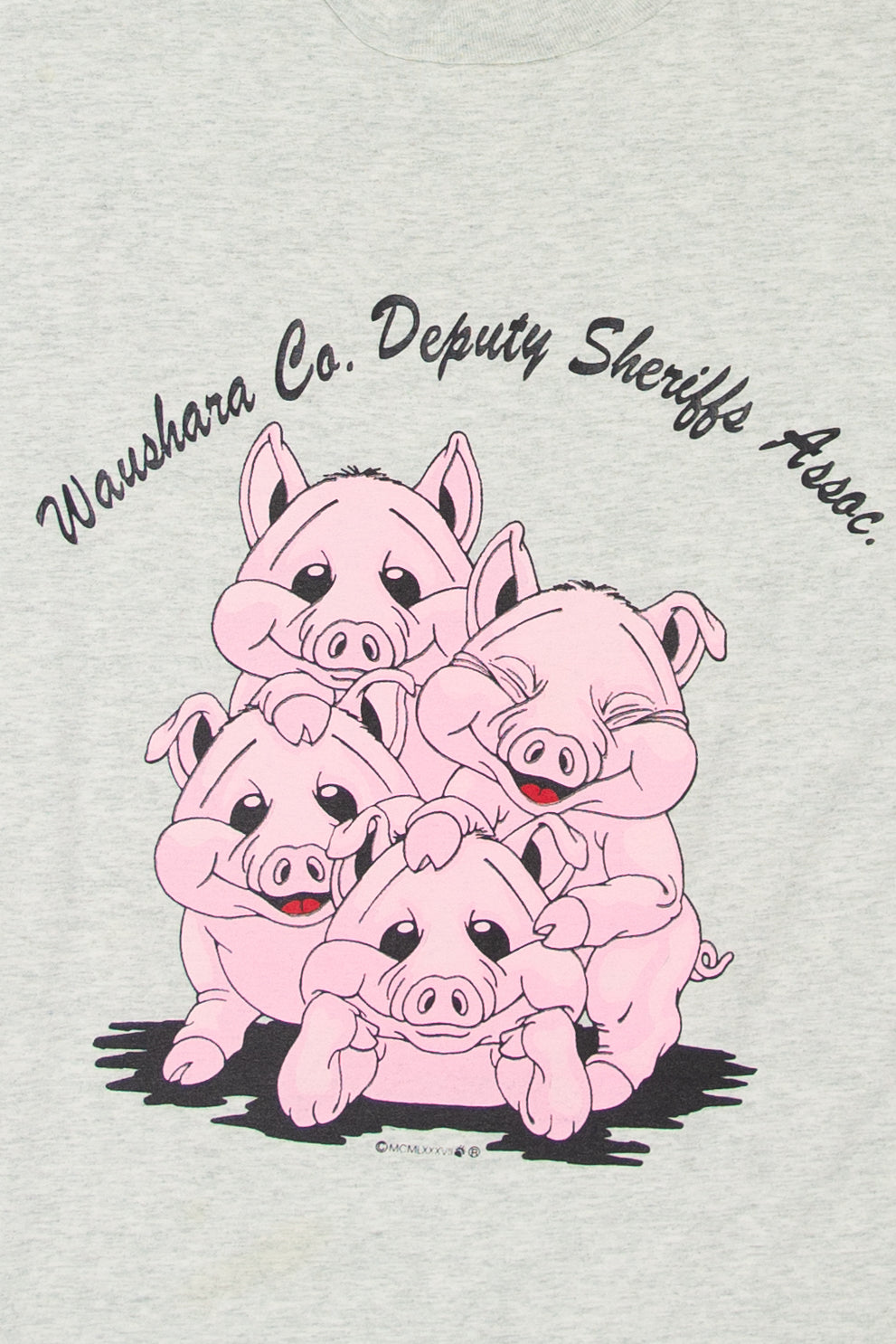 Vintage Waushara County Deputy Sheriffs Association T-Shirt (1990s)