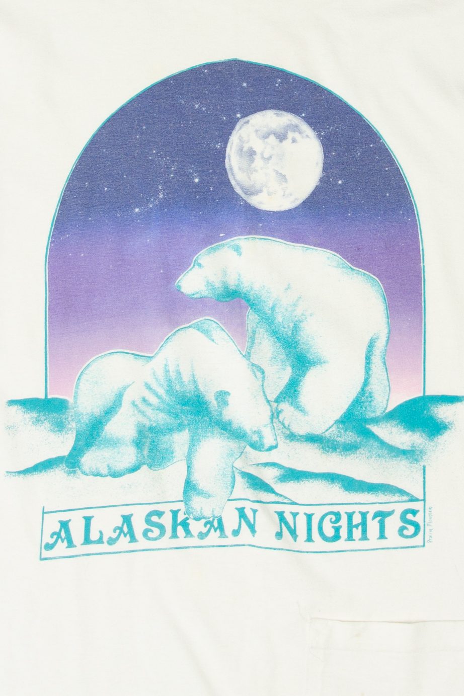 Vintage "Alaskan Nights" Polar Bears T-Shirt (1980s)