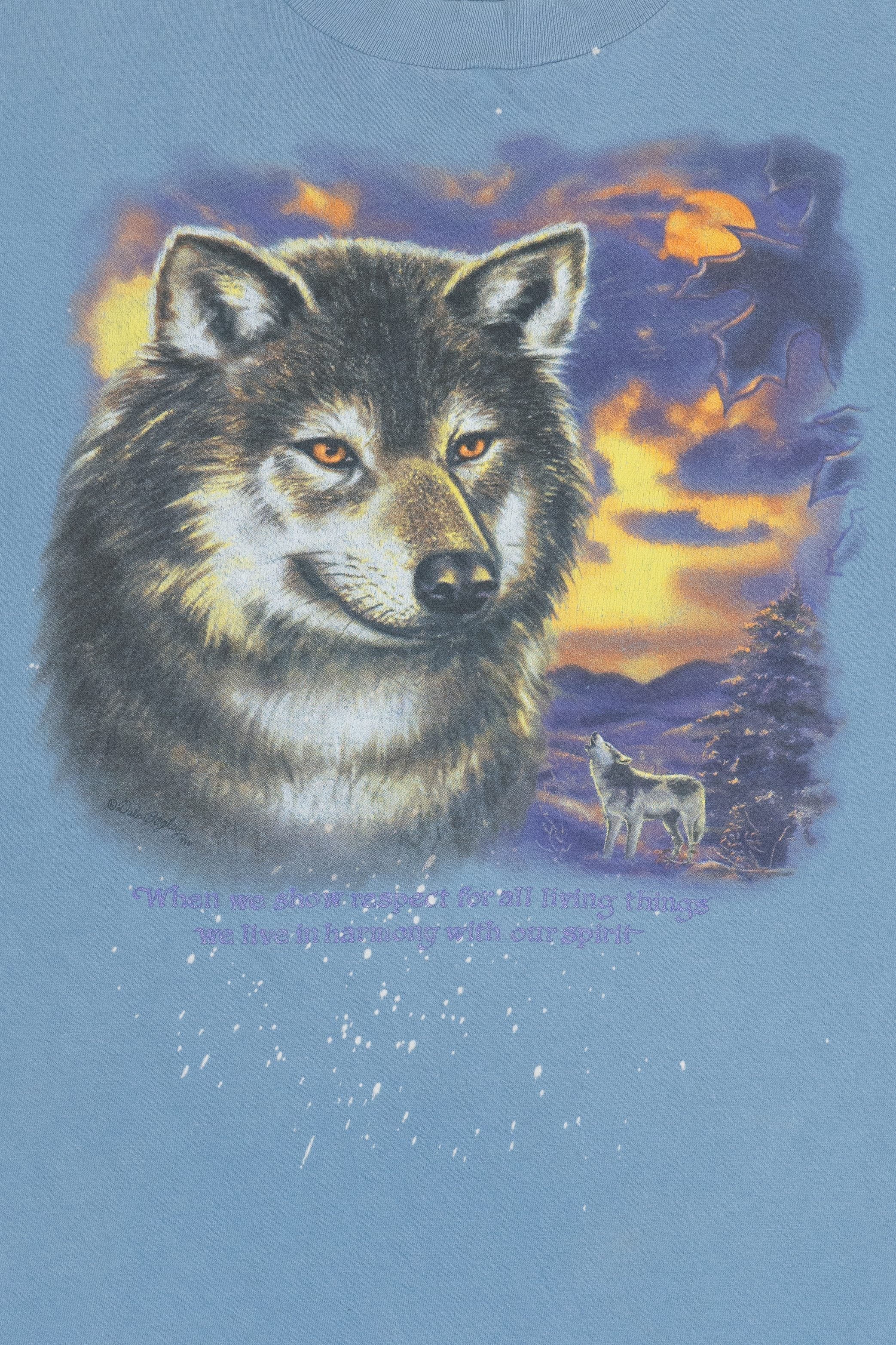 Vintage Respect & Harmony Environmental Wolf Graphic T-Shirt (1990s)