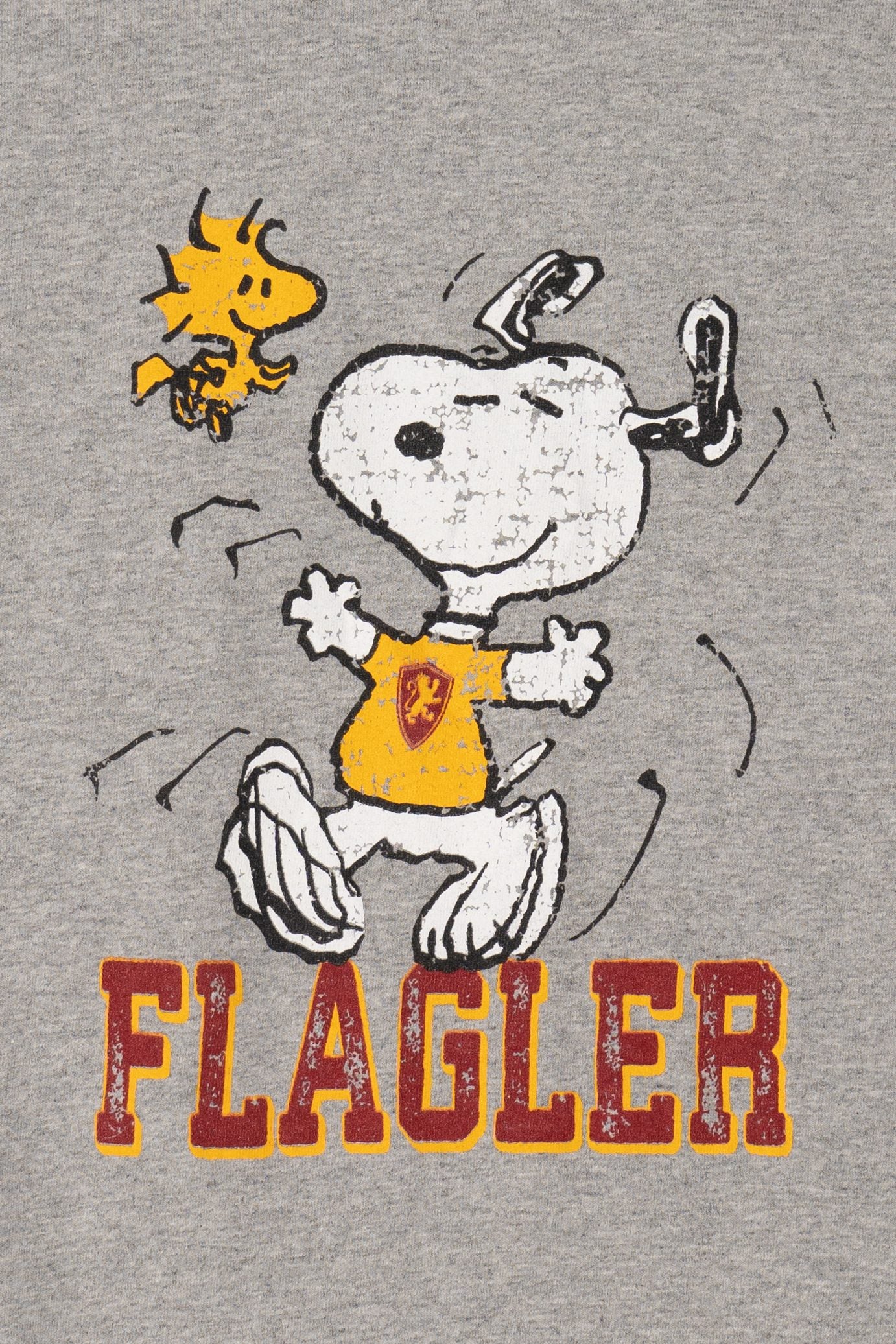 Peanuts Snoopy "Flagler" Third Street T-Shirt