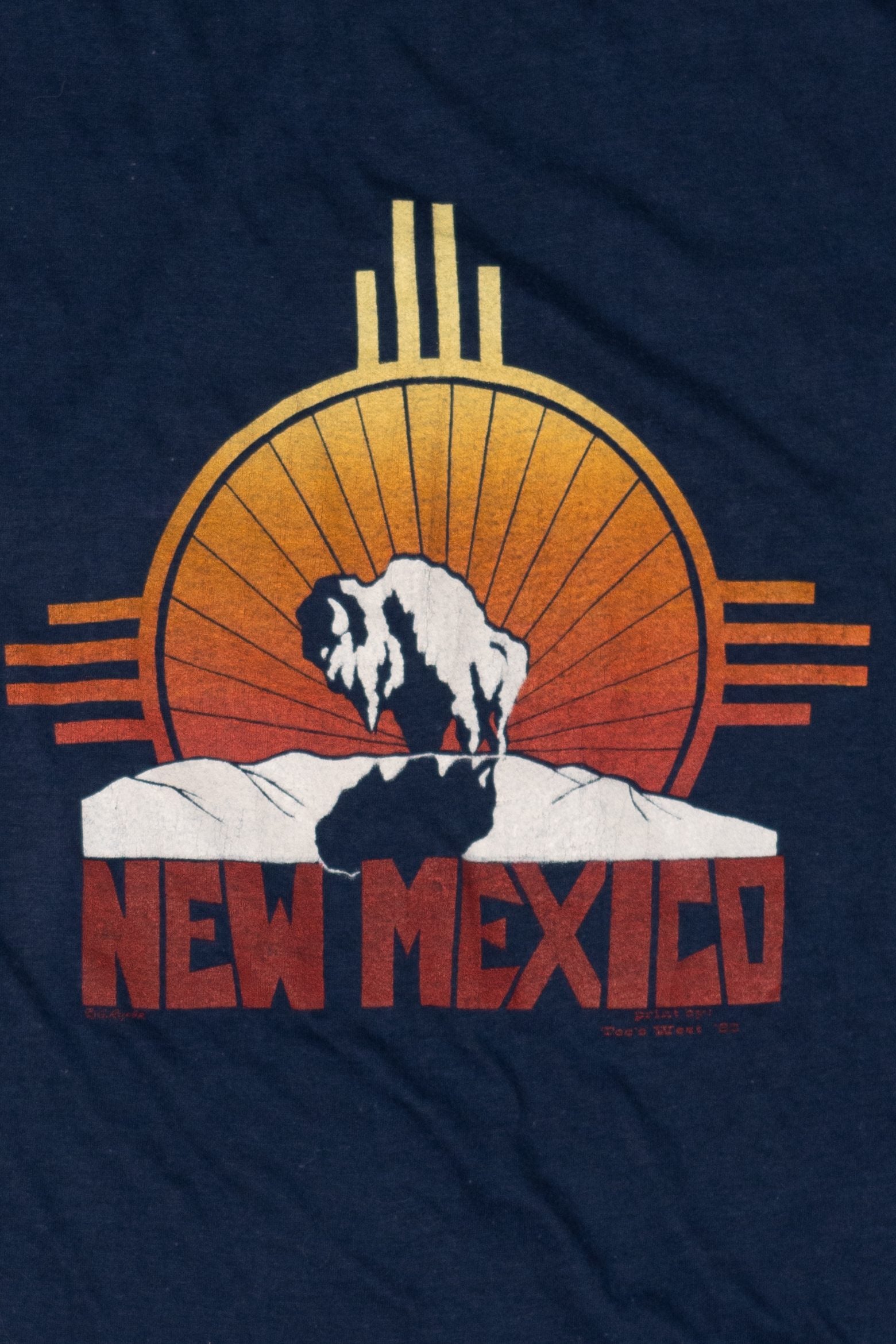 Vintage New Mexico Bison Single Stitch T-Shirt (1980s)