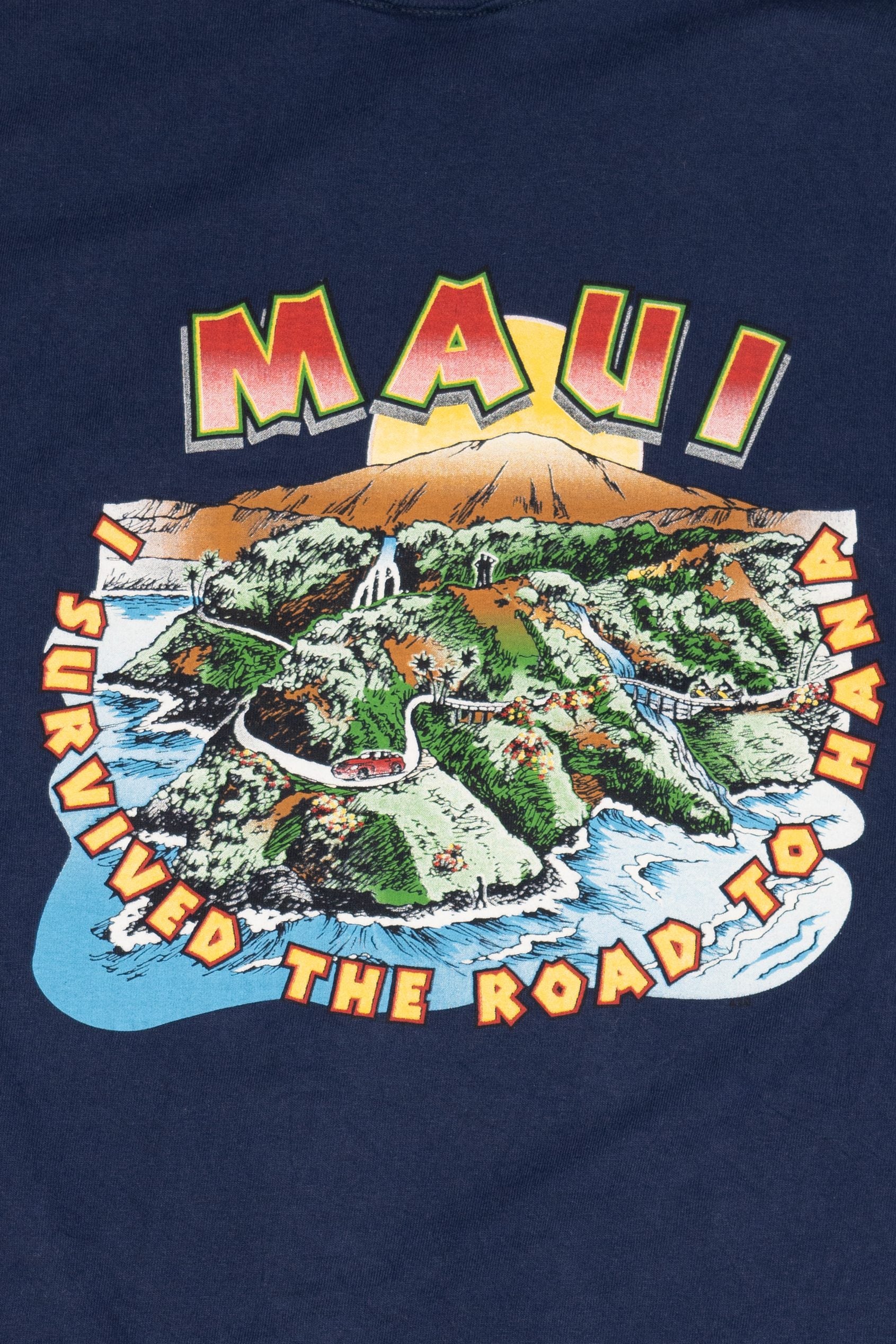 Vintage Maui "I Survived The Road To Hana" T-Shirt (2000s)