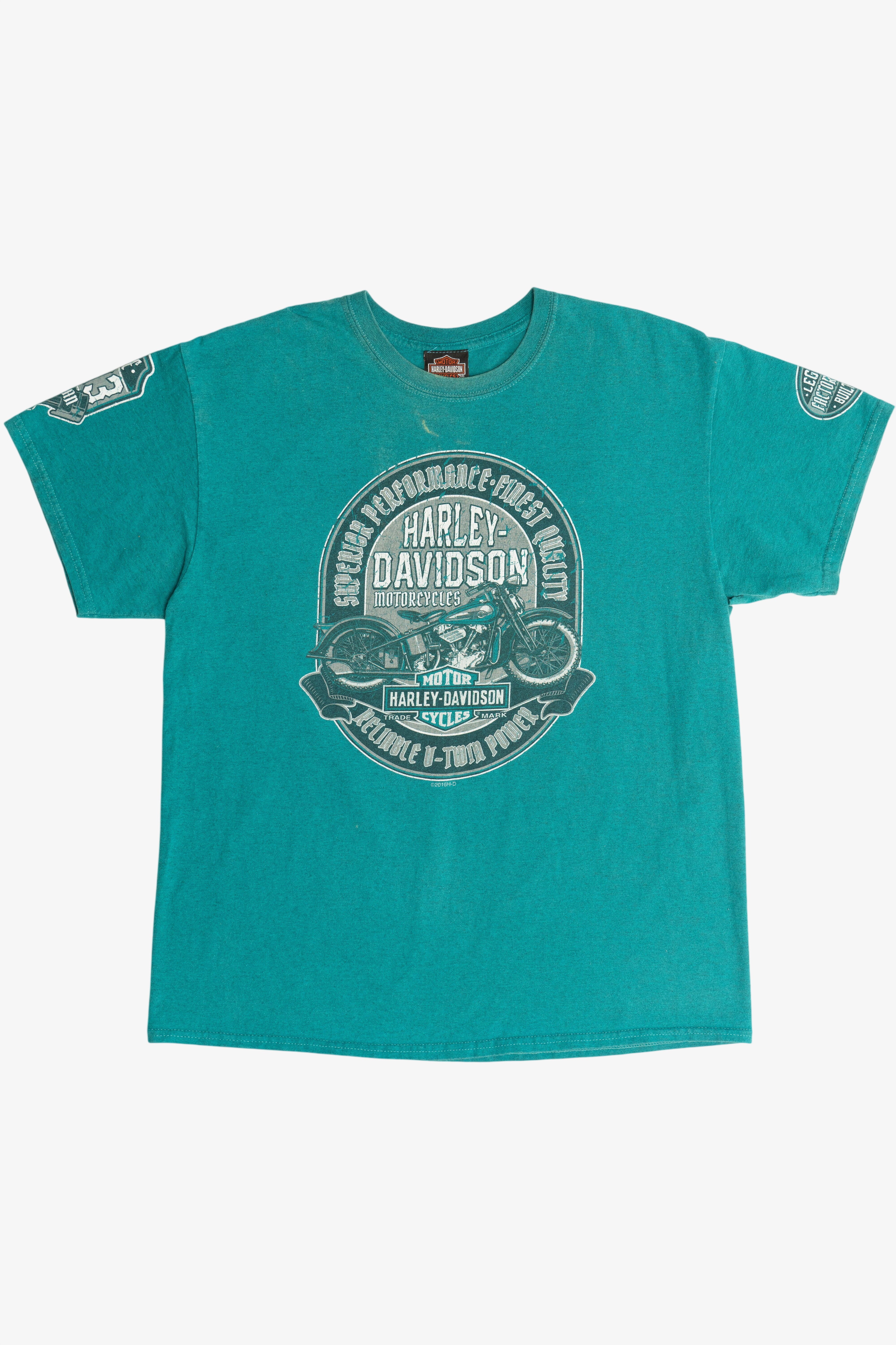 Distressed Harley Davidson Motorcycles "Stormy Hill" "Clermont, FL" T-Shirt (2010s)