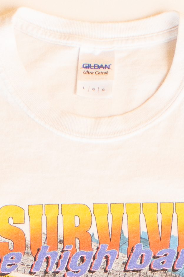 Vintage Texas Motor Speedway T-Shirt (2000s)