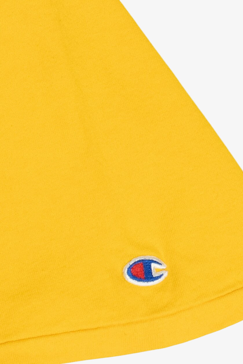 Vintage "Minnesota" University Of Minnesota Champion T-Shirt (2000s)