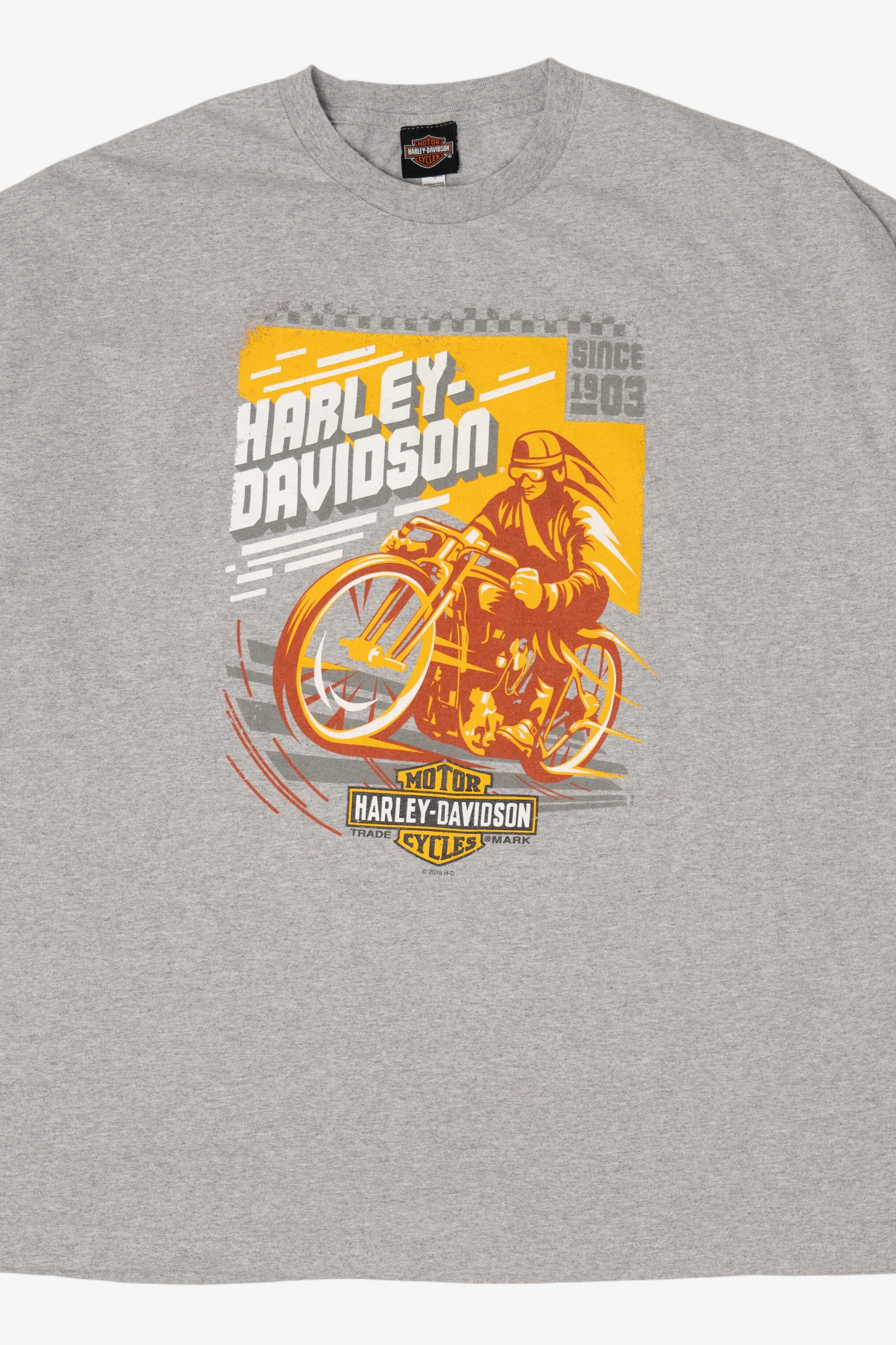 Gray Harley Davidson Barnett El Paso, Texas T-Shirt (2010s)