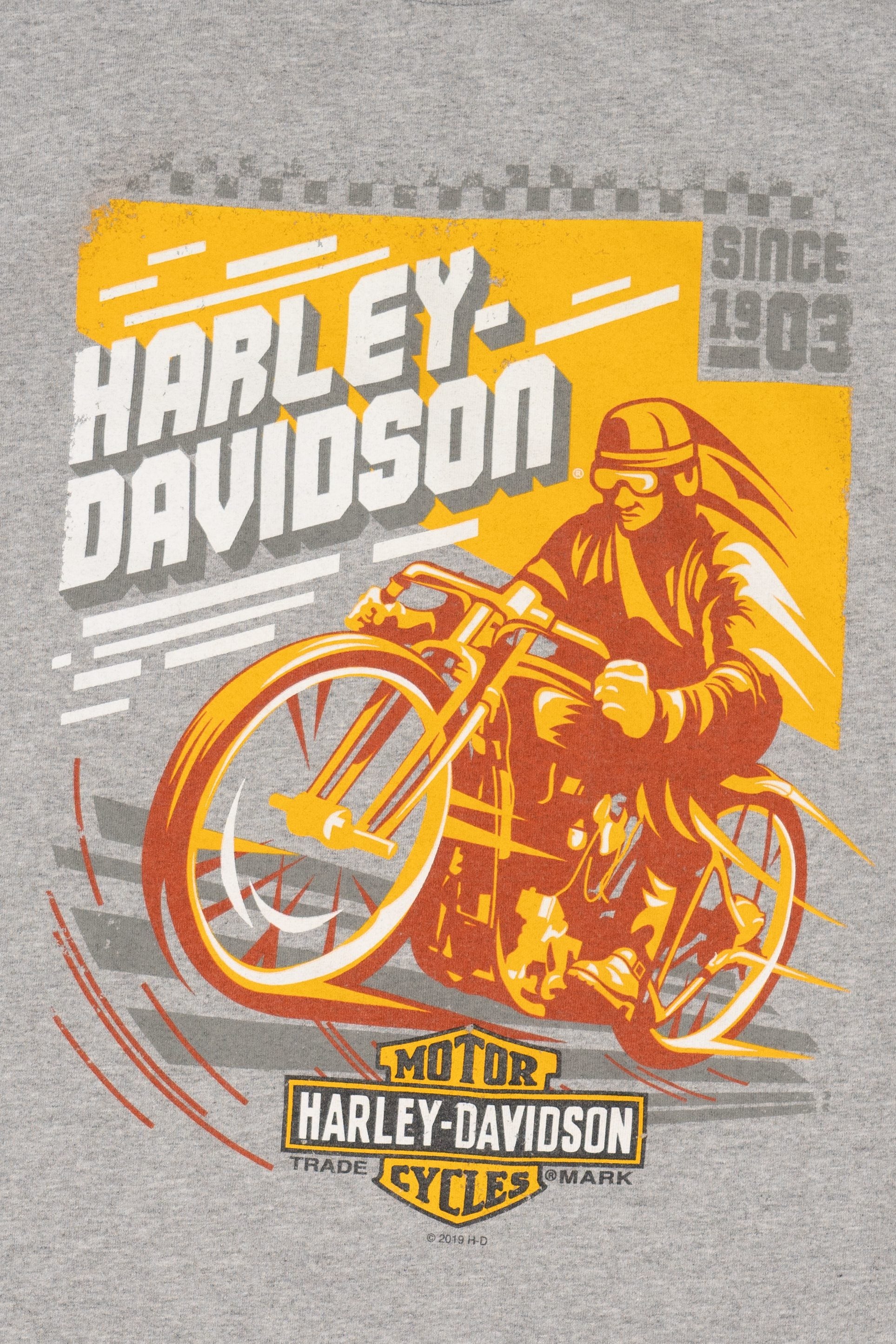 Gray Harley Davidson Barnett El Paso, Texas T-Shirt (2010s)