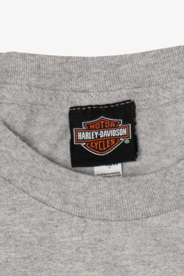 Gray Harley Davidson Barnett El Paso, Texas T-Shirt (2010s)
