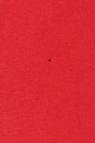 Red "Motorcycle An American Tradition" T-Shirt (2010s)