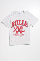 Vintage Chicago Bulls T-Shirt (1990s)