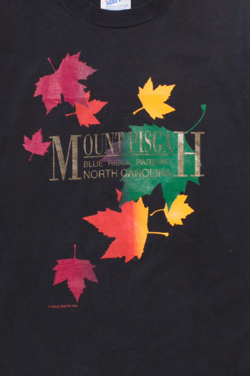 Vintage Mount Pisgah T-Shirt (1990)