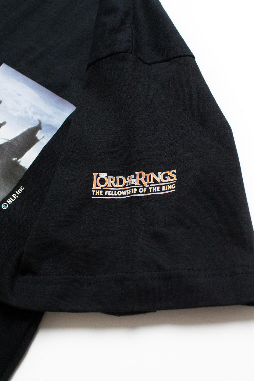 Vintage Fellowship of the Ring Triptych T-Shirt (2000s)