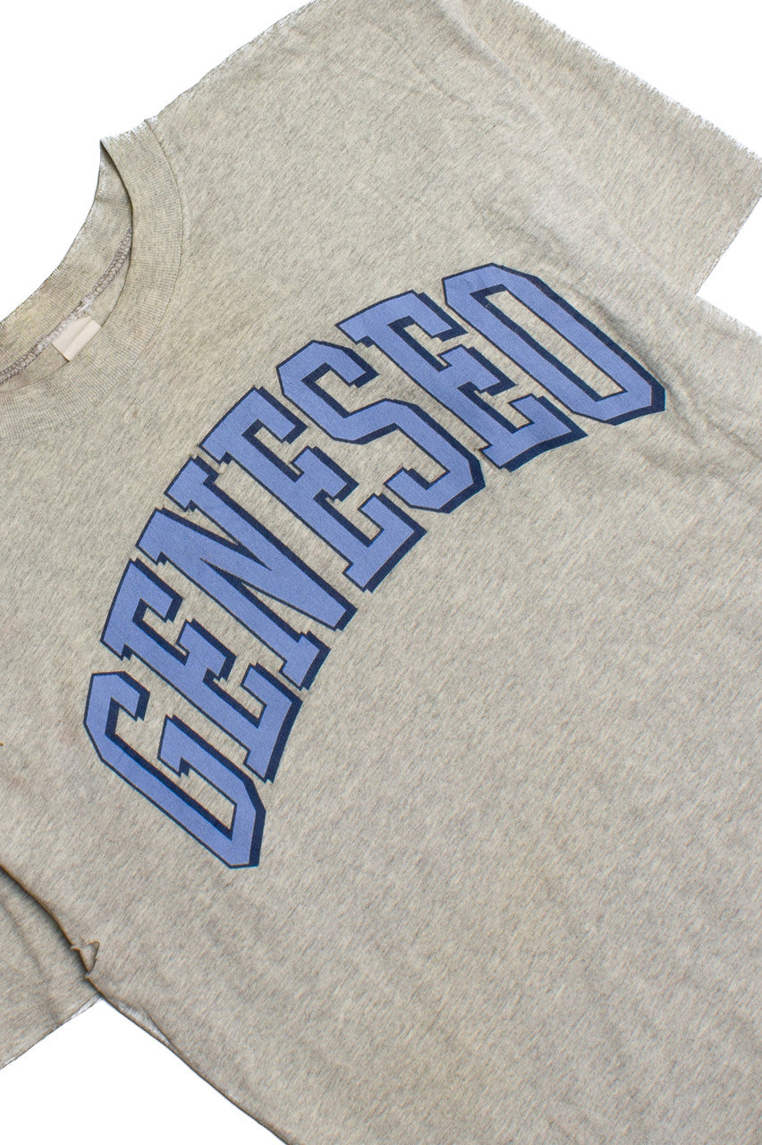 Vintage Geneseo University T-Shirt