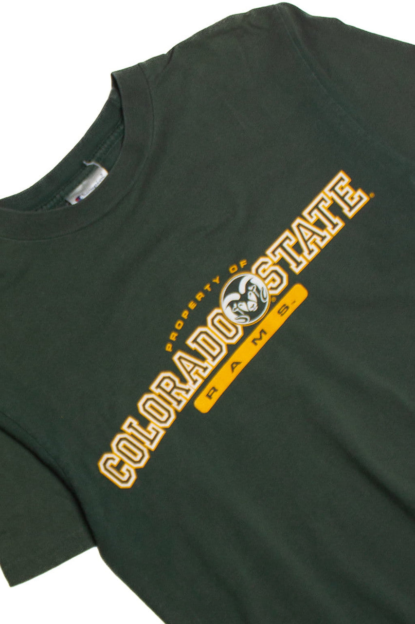 Vintage Colorado State T-Shirt (1990s) 8691