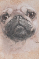 Recycled Pug Close-Up The Mountain T-Shirt
