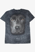 The Mountain T-Shirt (2010s)