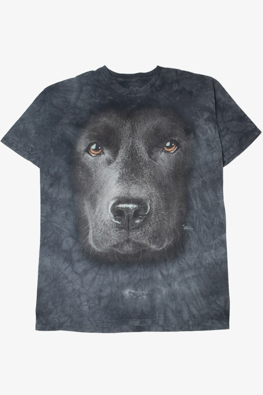 The Mountain T-Shirt (2010s)