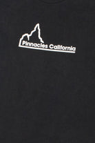 Vintage "Go Climb A Pinnacle" Pinnacles California National Park T-Shirt